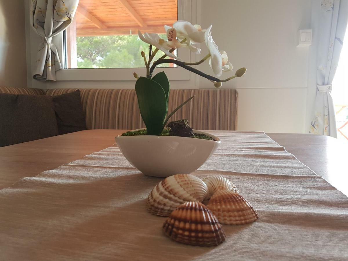 Mobile Homes Seashell เยเซรา ภายนอก รูปภาพ